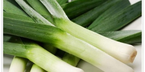 Praziluk kada treba sijati rasad